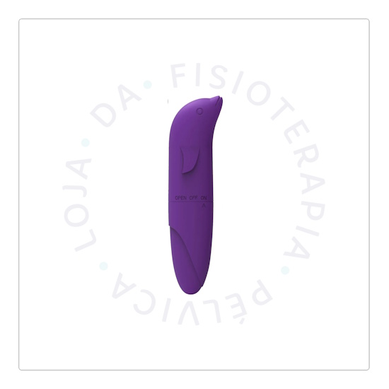 Vibrador Golfinho em ABS com Toque Aveludado 12x2,5cm - Roxo